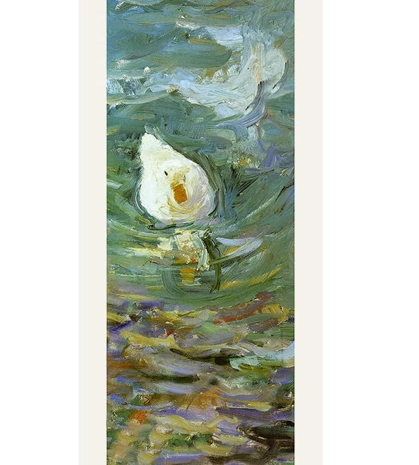 Echarpe 140 Cassatt – Duck