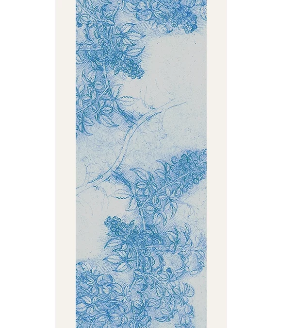 Echarpe 140 De Vinci Léonard – Branche de mûrier