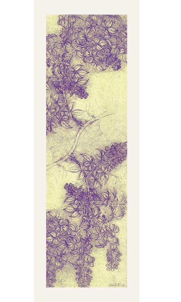 Echarpe 140 De Vinci Léonard - Anémones en fleur